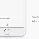 Illustration for article titled Google's Plan to Make Assistant Actually Useful
